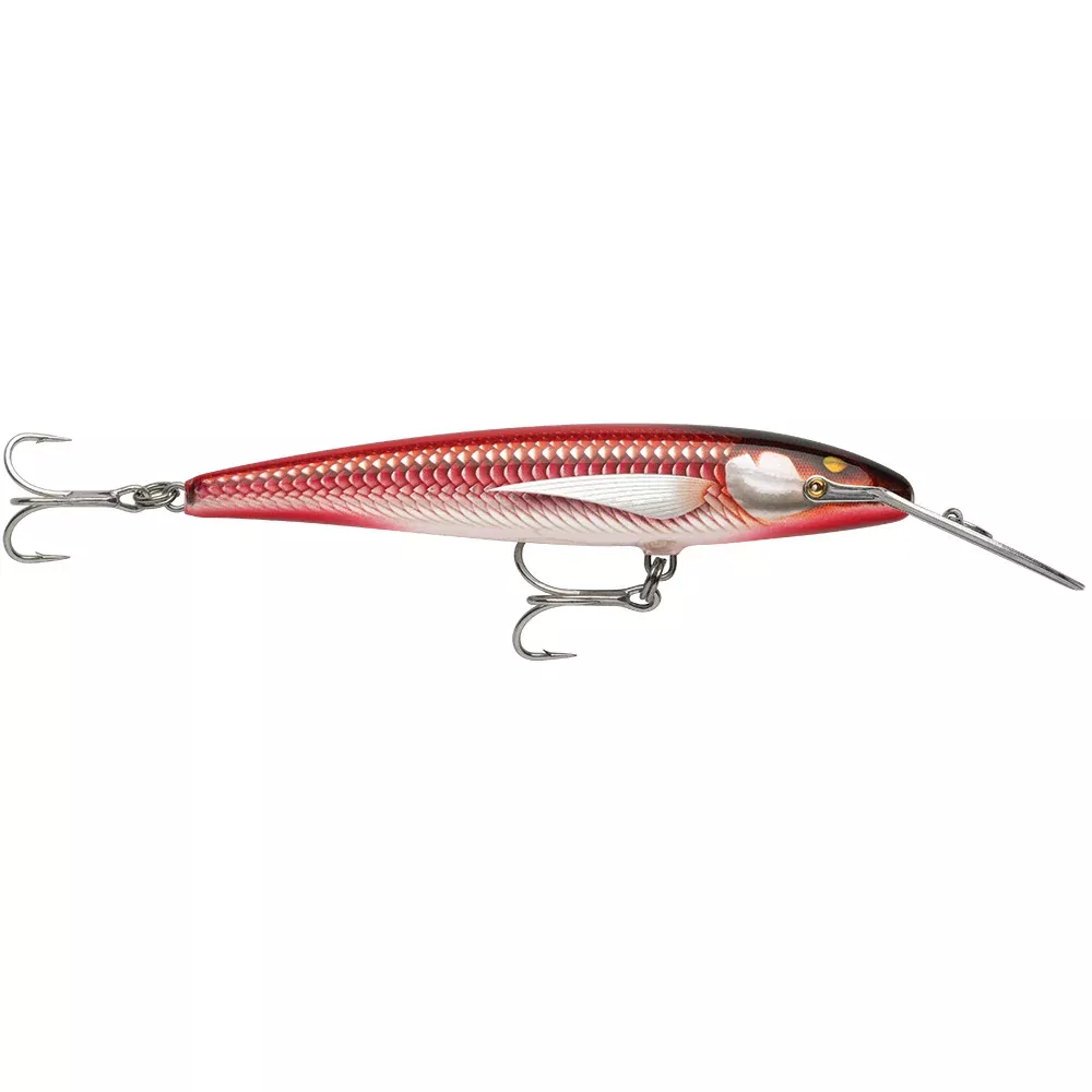 Rapala CountDown Magnum Elite 185 - 7" - Armored Real Red Bait